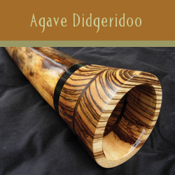 Agave Didgeridoo for sale