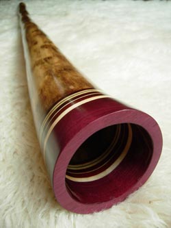 agave didgeridoo 1